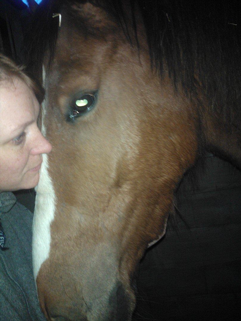 Anden særlig race Thor billede 4