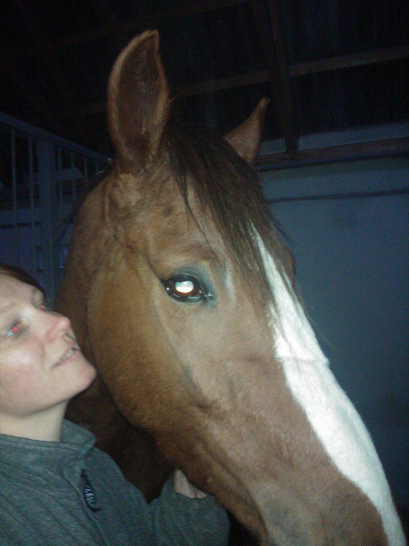 Anden særlig race Thor billede 5