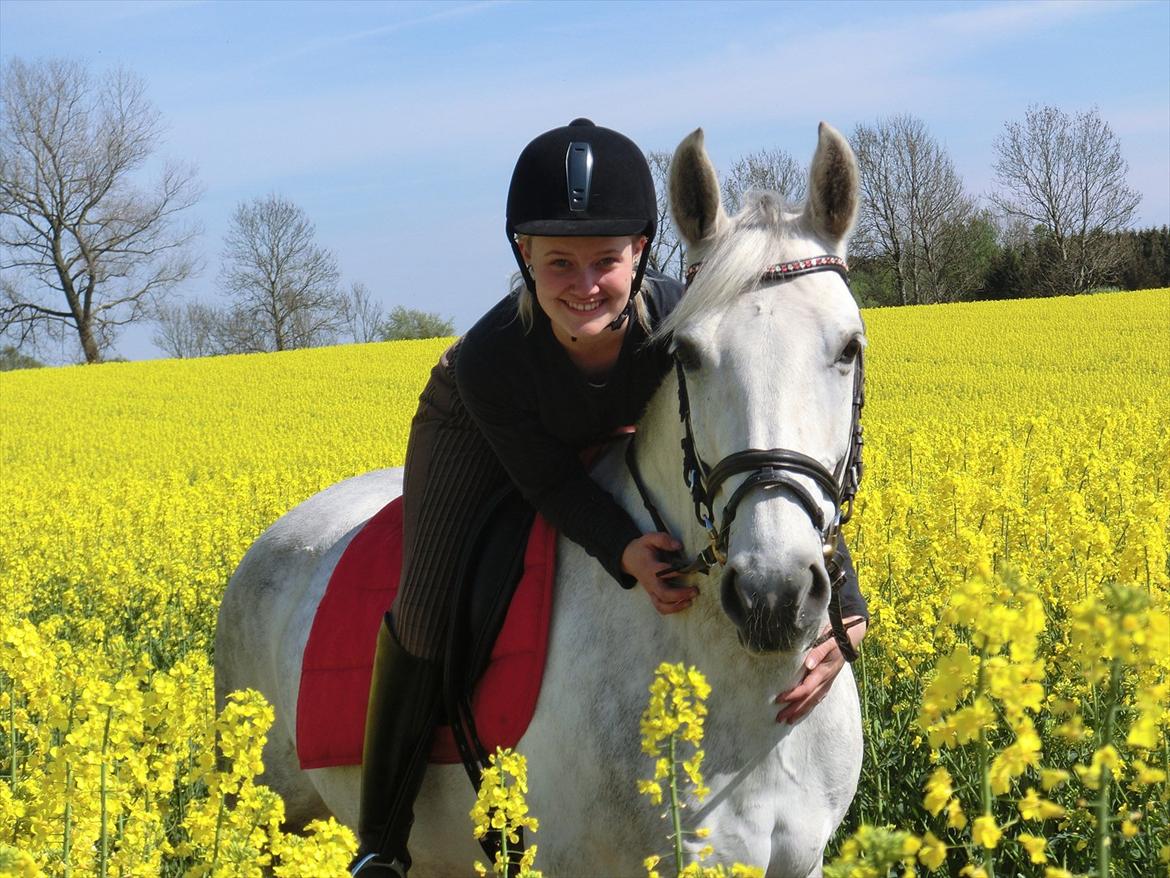 Anden særlig race Stella  - <3 billede 15