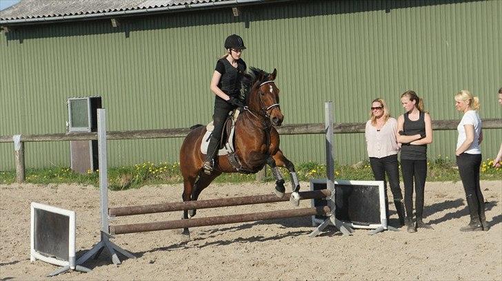 Anden særlig race Liesje - "You are sweet, you are kind, you are always on my mind."

Foto af - Christine & Charlotte Rathje billede 6