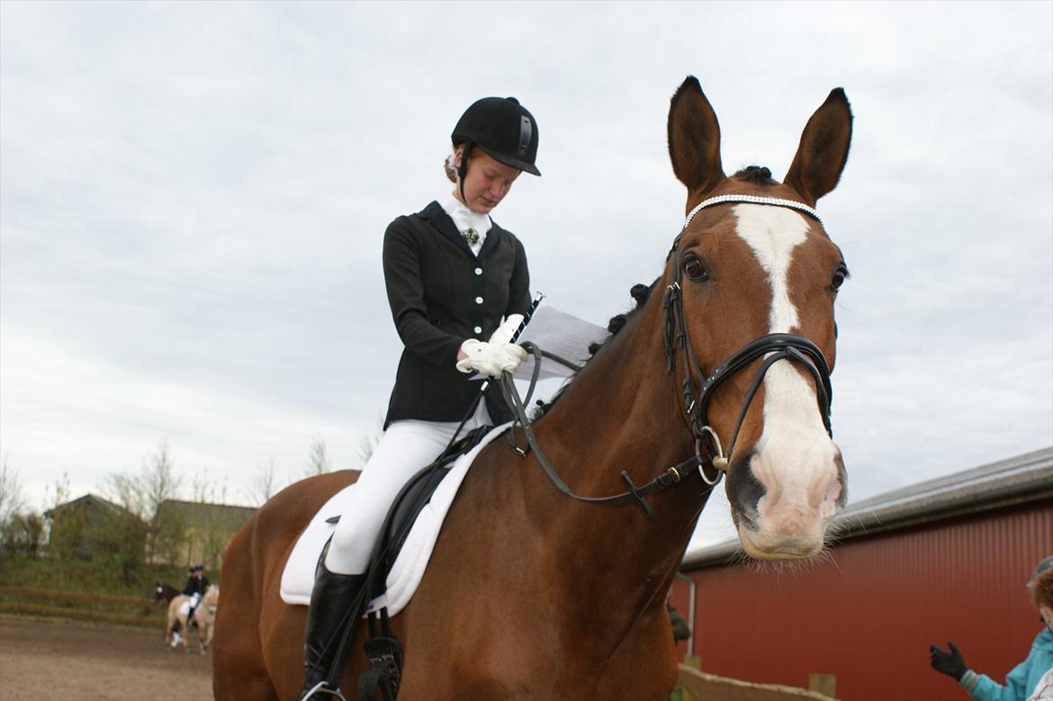 Dansk Varmblod Engvangs Don Select - 28. april. Første stævne hvor det er os der er ekvipagen. billede 7