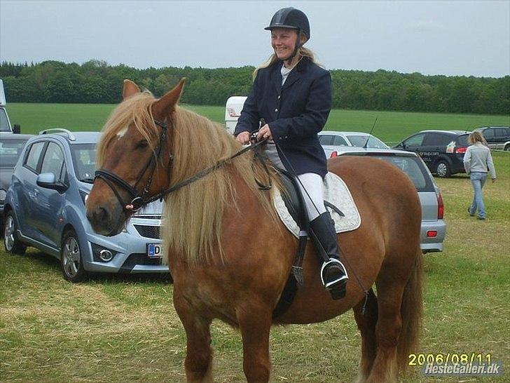 Jyde Mary - Gl. Estrup dyrskue, 2011. Opvisning med Jyder. billede 10