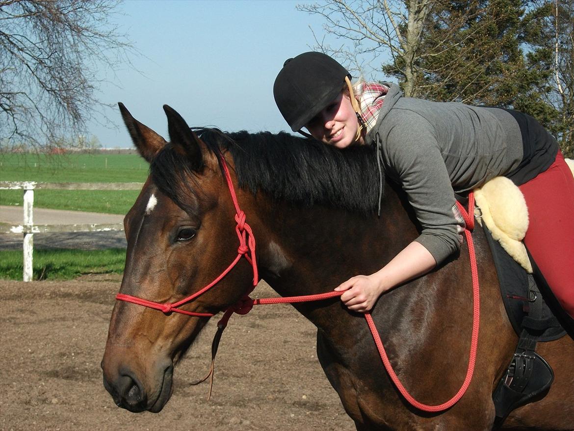 Anden særlig race Gillian (Solgt) - Min højt elskede hest <3 billede 1