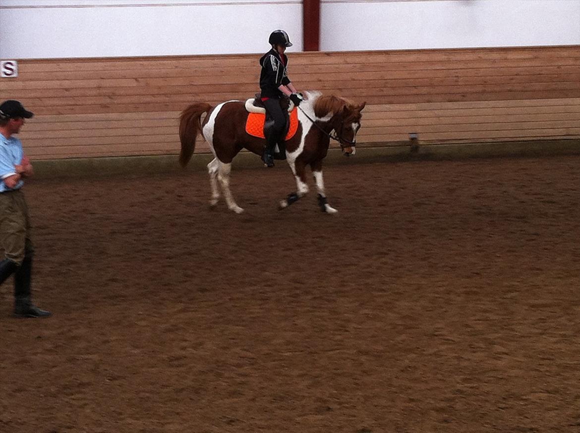 Anden særlig race Yasmin - Velkommen til Yasmins Profil:D billede 1