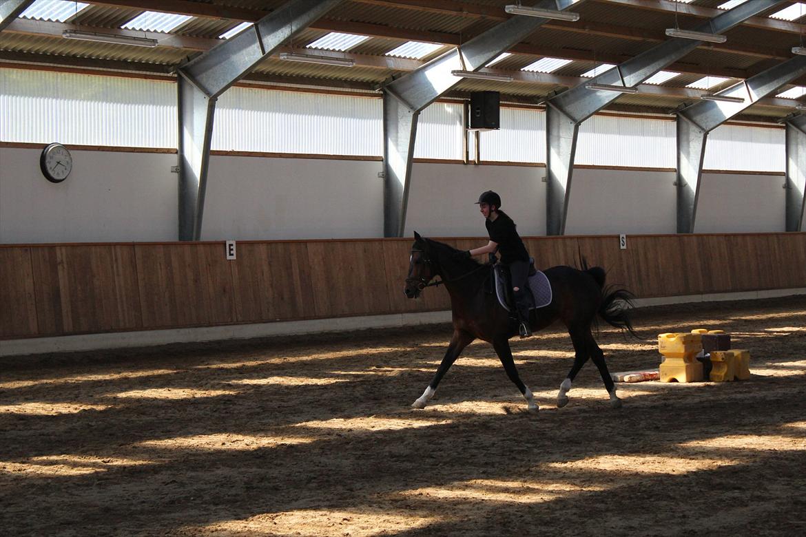 Dansk Varmblod San Luca - Mig og Luca, 2. maj 2012 Foto: Sofie Christensen billede 15