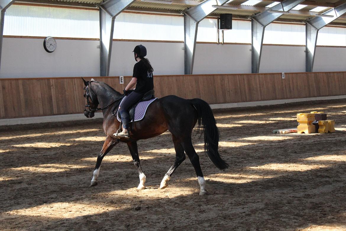 Dansk Varmblod San Luca - Mig og Luca, 2. maj 2012 Foto: Sofie Christensen billede 16