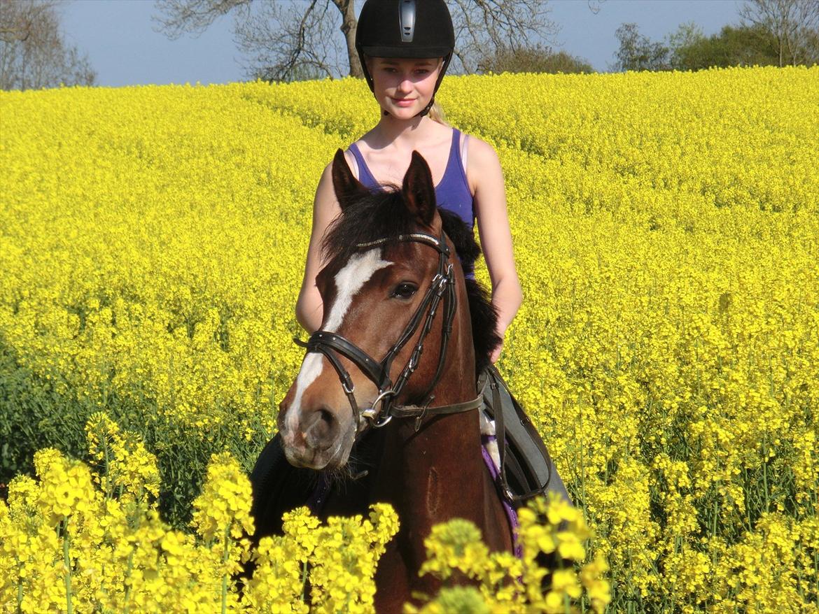 Anden særlig race Birkemosens Jasmin - Jasmin minskat, Du betyder alt for mig, jeg ved ikke hvad jeg skulle gøre uden dig. Dine udviklinger har gjort dig til verdens mest fantastiske pony!<3
Du betyder alt for mig :') billede 13