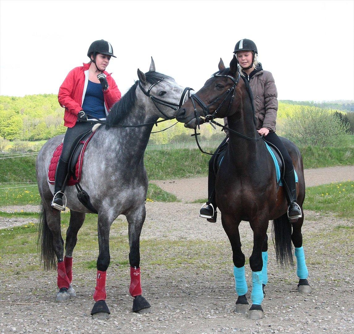 Holstener Colt 45 billede 11