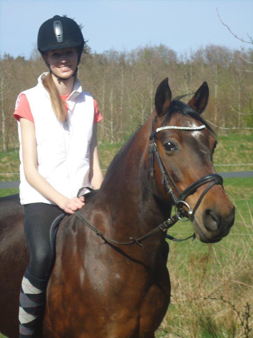 Anden særlig race Hedegårds Lucy - Velkommen til Lucy's profil!
    -Friendship is one soul in two bodies  billede 1