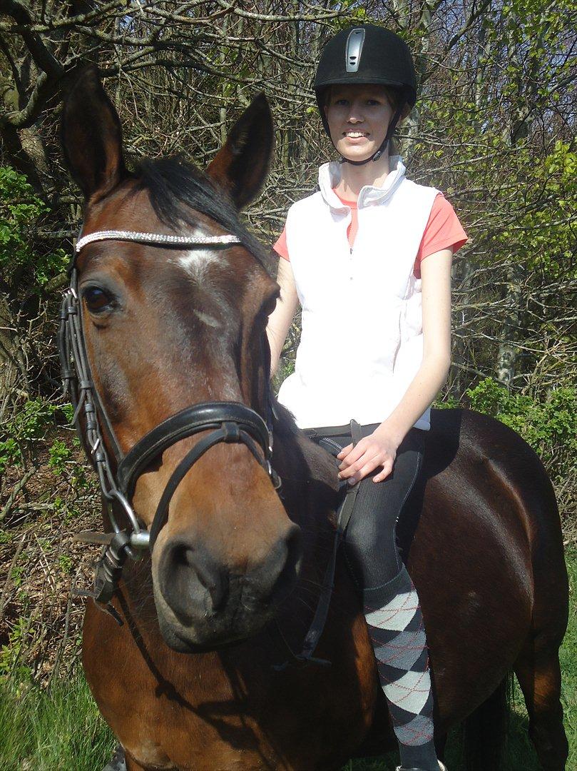 Anden særlig race Hedegårds Lucy - Smukke, smukke pony! <3 
-Live as if you were to die tomorrow. Learn as if you were to live forever billede 4
