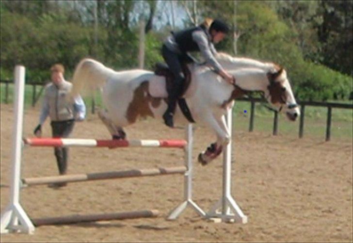 Anden særlig race Åbo 's sweet <3 billede 9