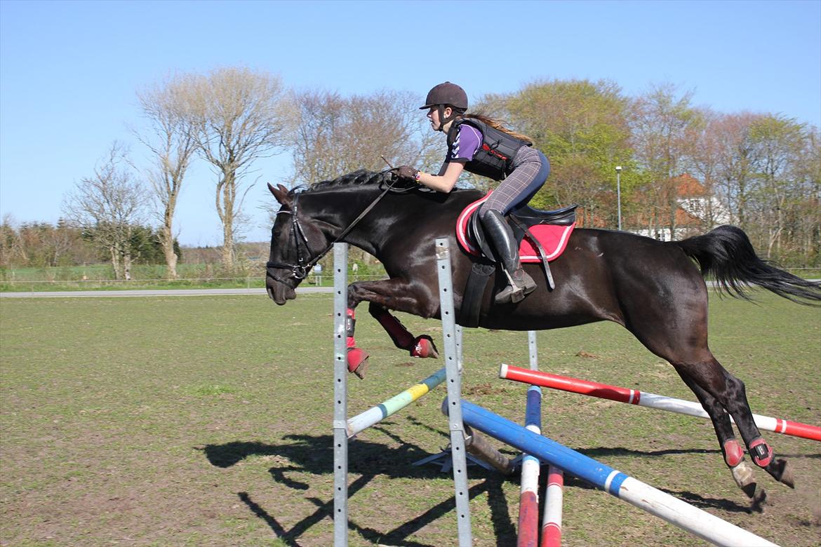 Oldenborg Cassiopeia (TUT) - Mathilde&Tut!<3 billede 17