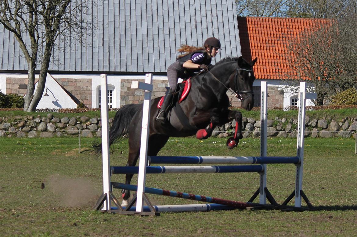 Oldenborg Cassiopeia (TUT) - Mathilde&Tut<3 billede 4