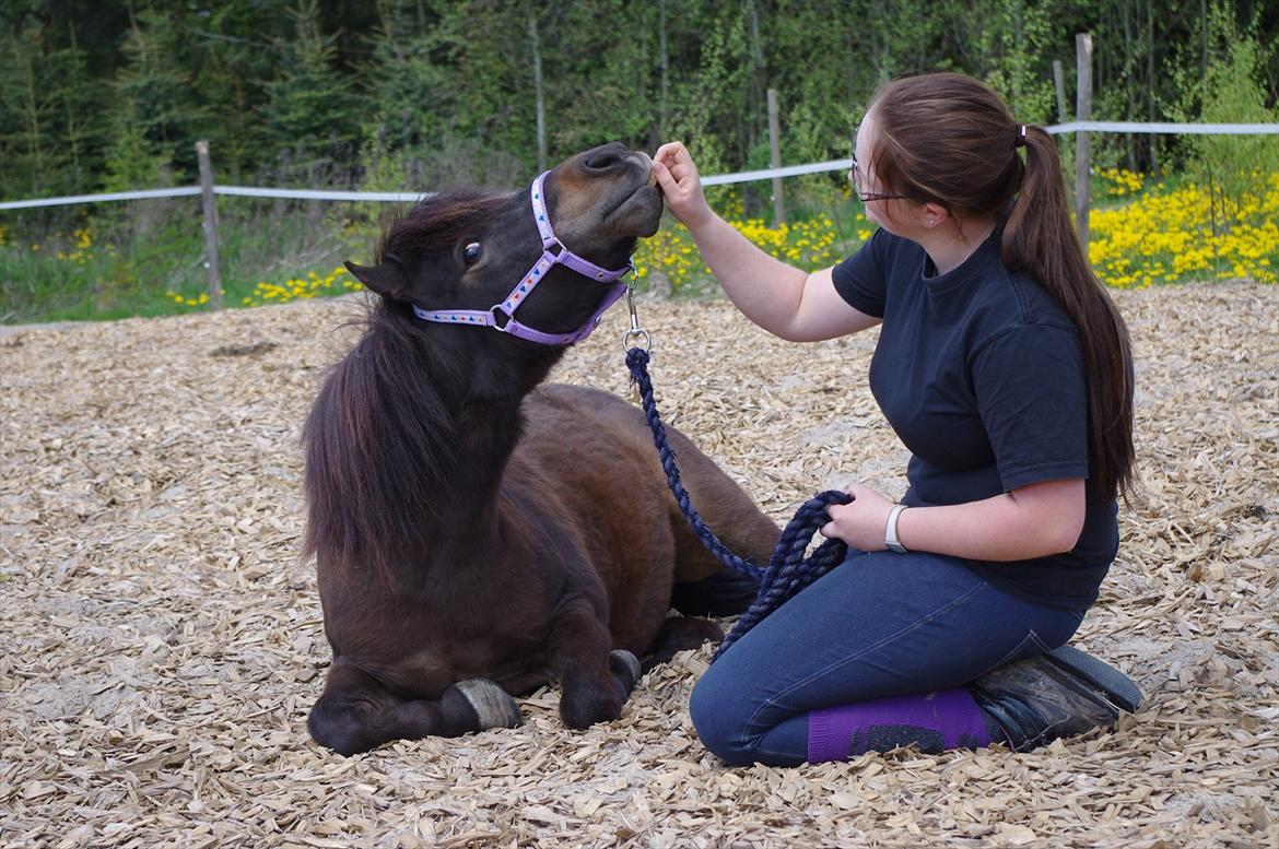 Anden særlig race Toffee R.I.P. - Ligge og smile samtidig - den ene er der, den anden nærmer sig (: <3 billede 20