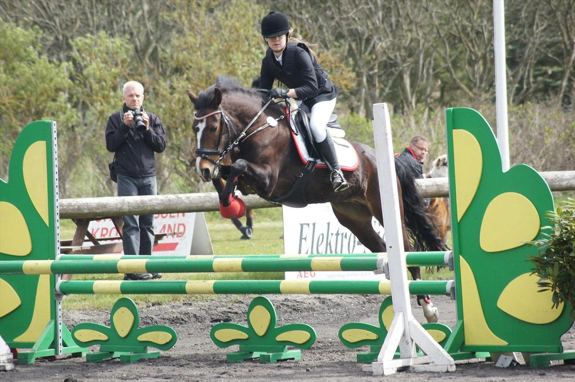 New Forest Equile's Maurita - Vores første distriktstævne :) Taget af Amanda Absalonsen Busk billede 16