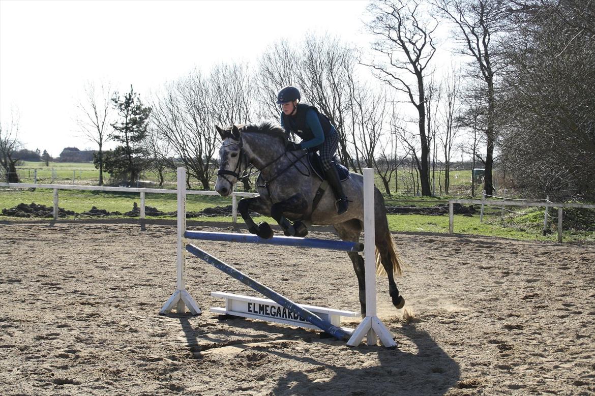 Holstener Castinè - Træning marts billede 11