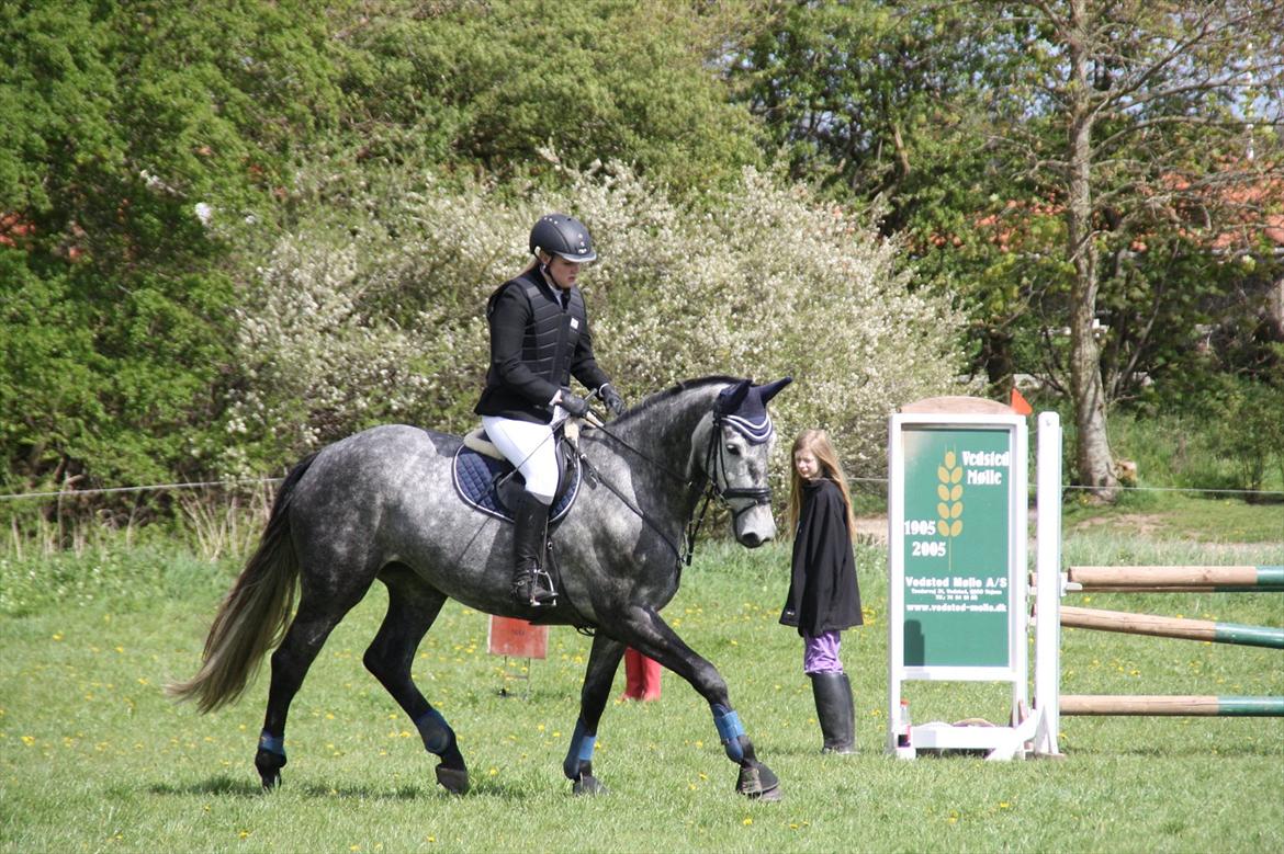 Holstener Castinè - Stævne Hammelev 05-05-12 billede 12