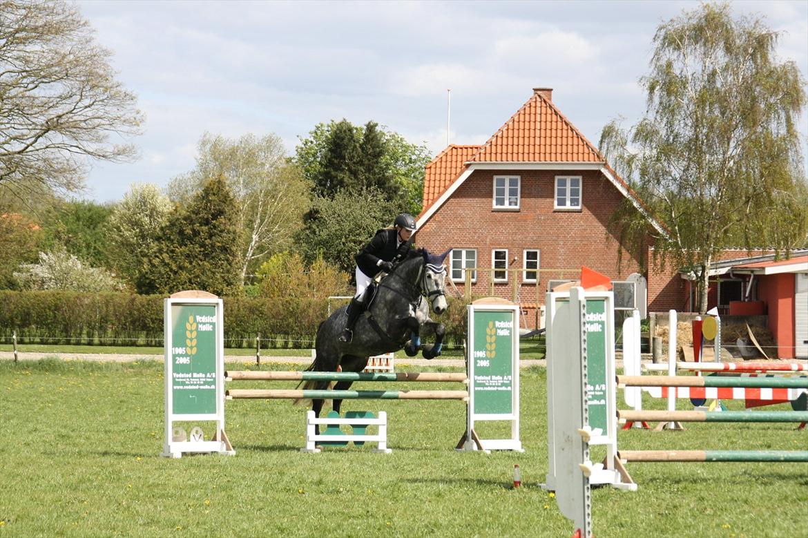 Holstener Castinè - Stævne Hammelev 05-05-12 billede 13