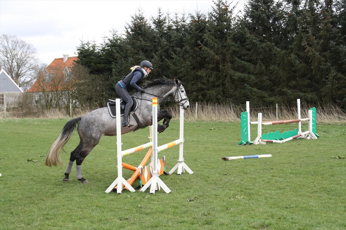 Holstener Castinè - Træning hjemme april billede 14