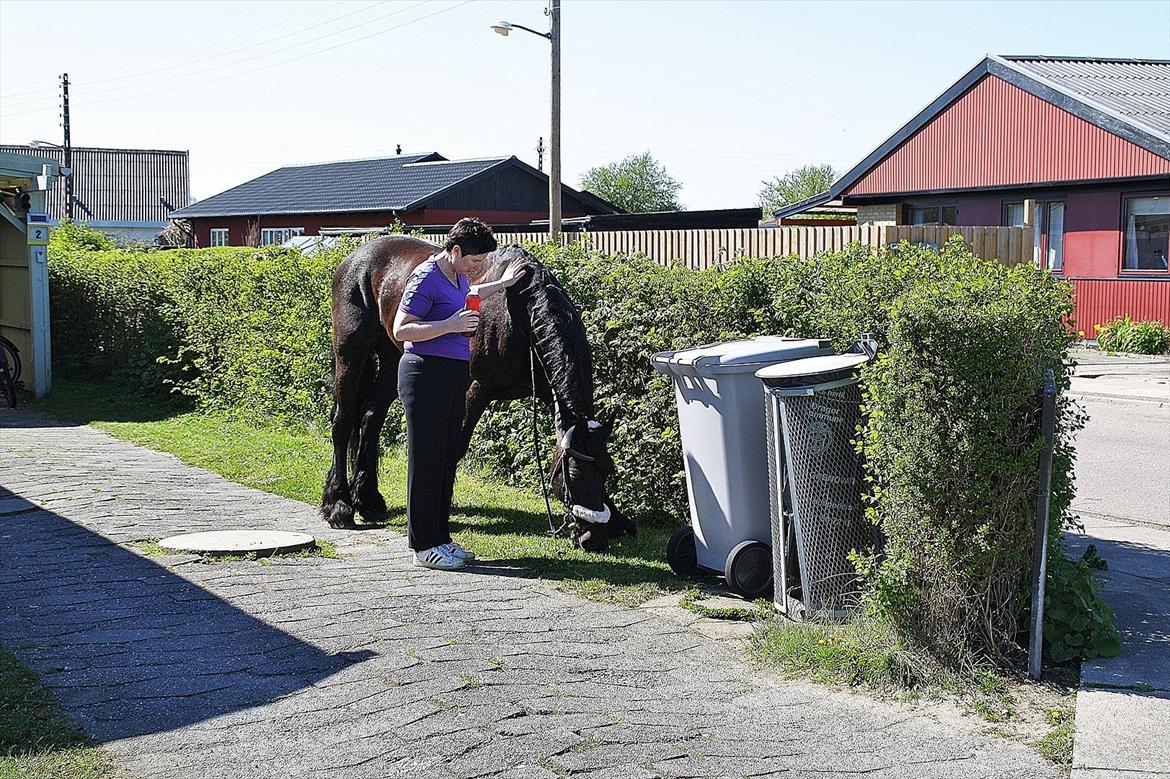 Frieser Luis - Foto: Louise Heilmann K Sørensen (mig) billede 3
