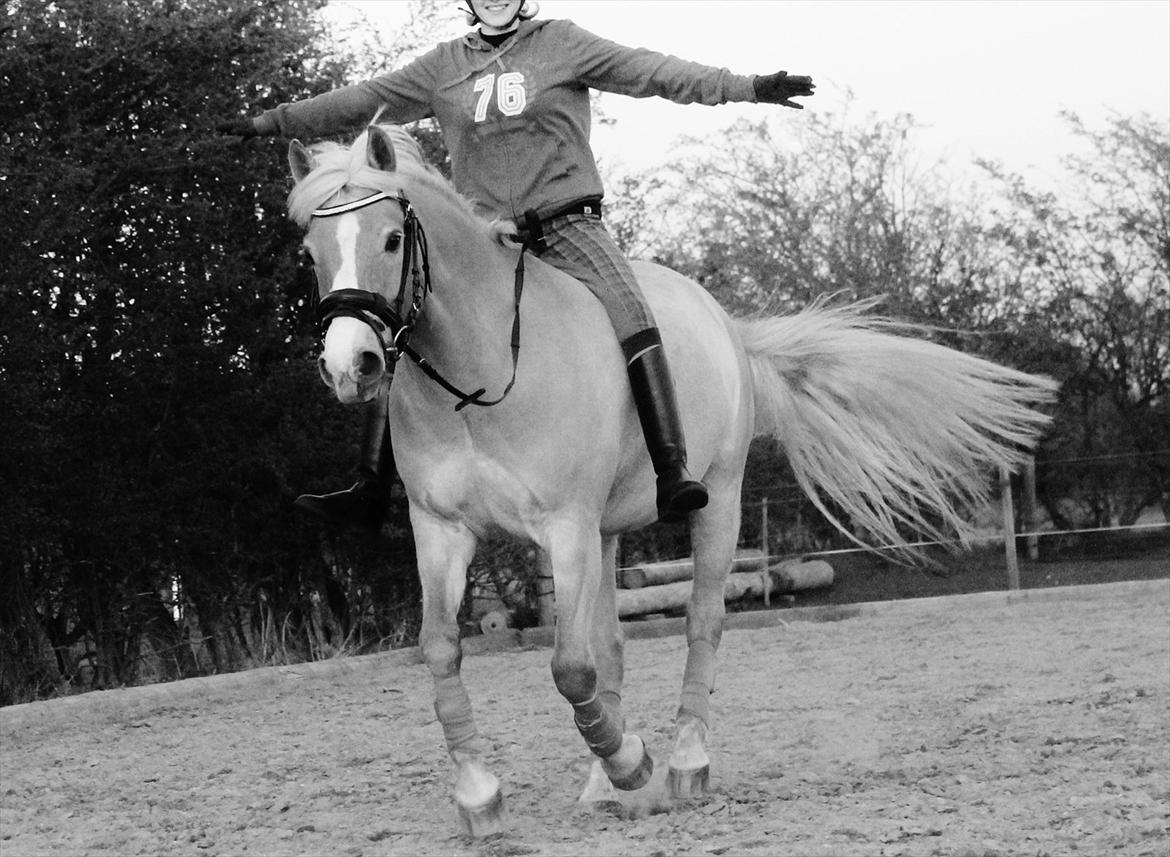 Anden særlig race Miss Jade billede 9