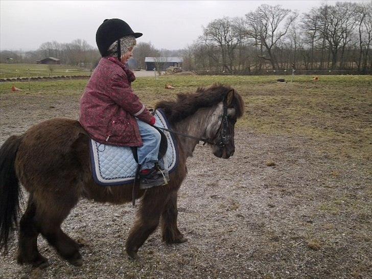 Anden særlig race bamse billede 2