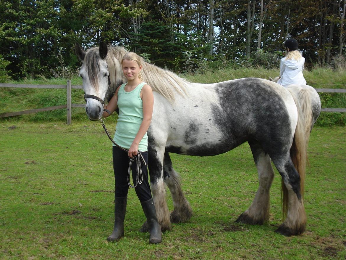 Irish Cob Kastanjelundens Simone - Simone og Helene i 2011 Simone bliver aldrig træt af og blive hygget om :-) billede 6