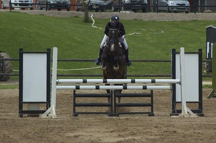 Holstener Prior's Hubert *ENGEL* <3 R.I.P 04-10-2012 - Nr. 18 - Nyt, stævne på Bal <3 billede 16