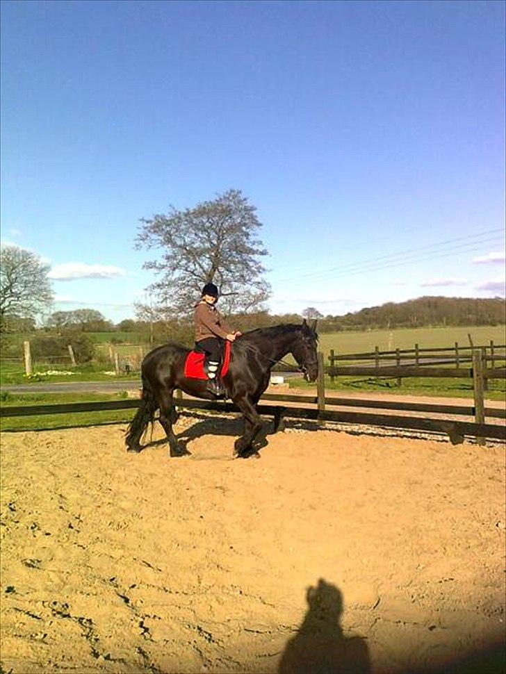 Frieser sietske van de sweach billede 6