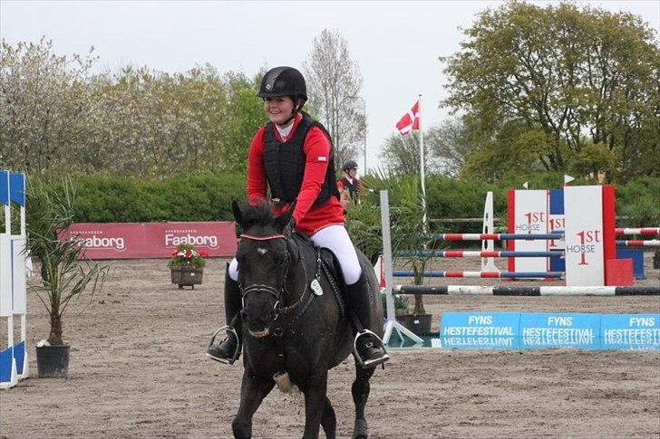 Tysk Sportspony Inaara A-Pony billede 18