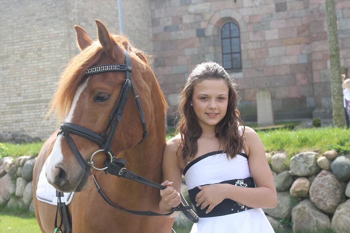 DSP Lejaro Rouge billede 14