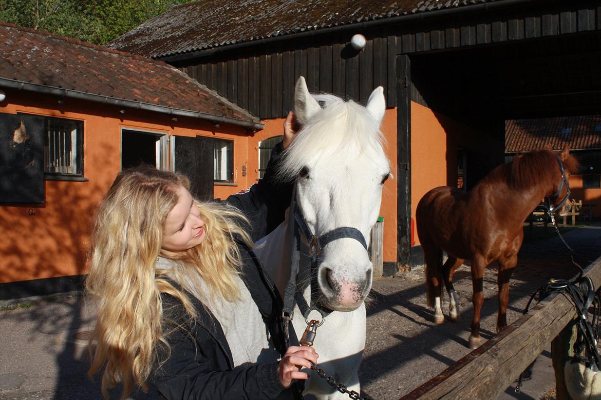 Connemara Banks Captain - Min dejligste skat <3 billede 20