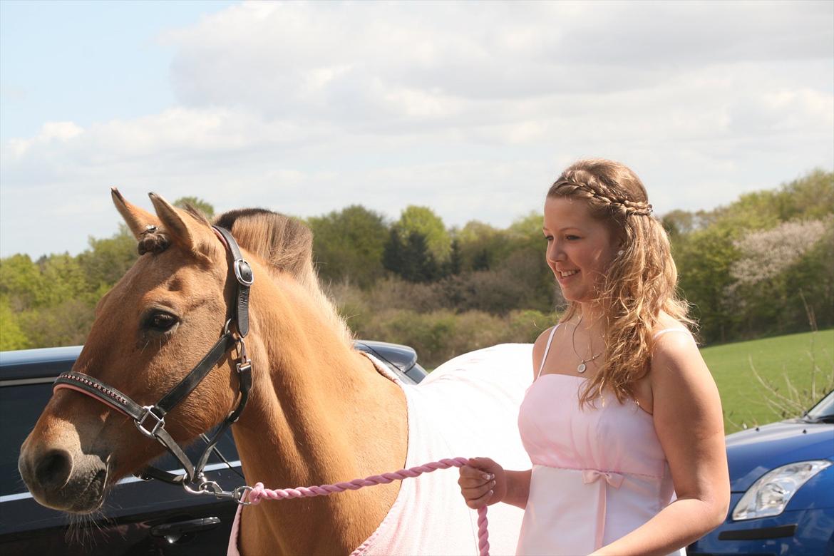 Anden særlig race Penny [Min eneste ene] - Minna havde gjord Penny så fin da jeg kom hjem fra kirke! :'-)<3  billede 9