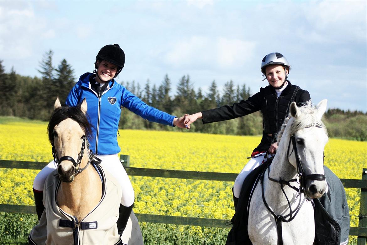 Anden særlig race Shanon B-pony - Marie & Soya<3 
Shan & jeg <3 billede 14