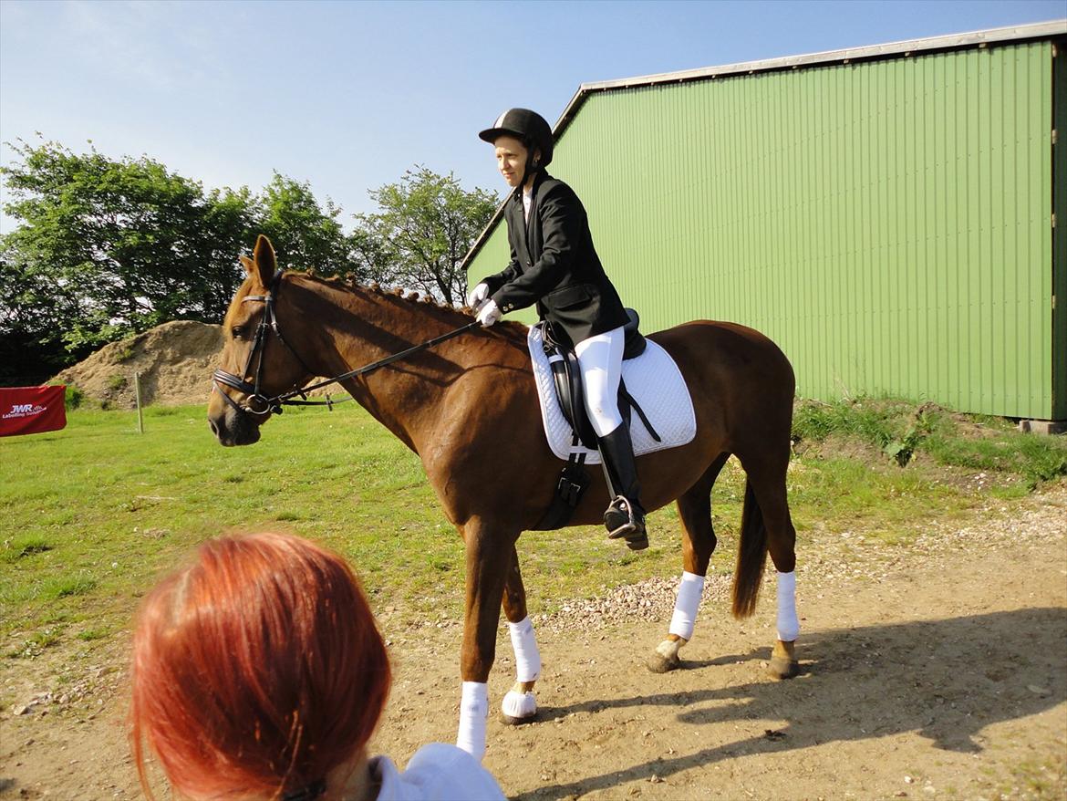 Oldenborg Fabrina ' Min mors - stævne på østervang maj 2011 billede 8