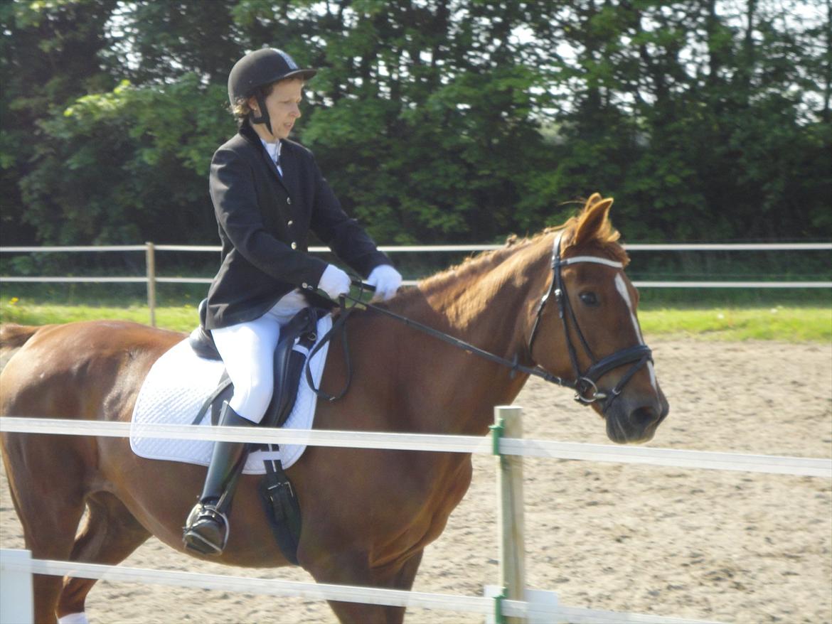 Oldenborg Fabrina ' Min mors - stævne på østervang maj 2011 billede 9