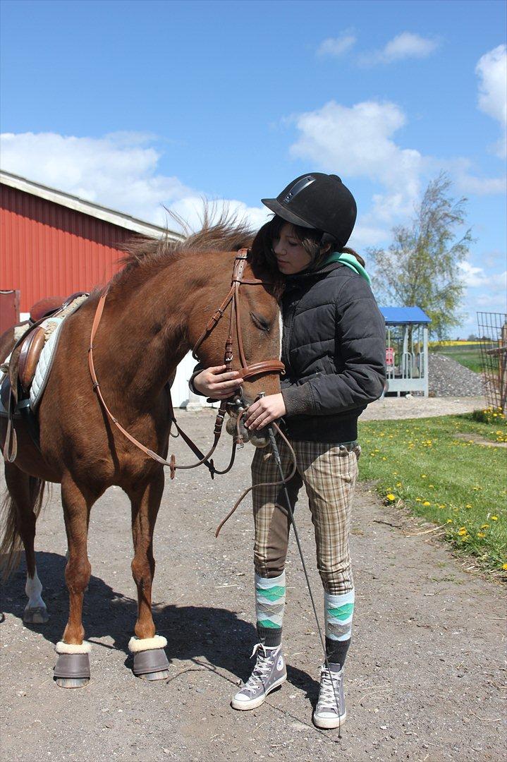 DSP drusbjergs Bonni *.Bonnimussen.* (Solgt) ;(<3 - Hahah!:-D<3 hvor hun sød<3
Foto: Mor billede 12