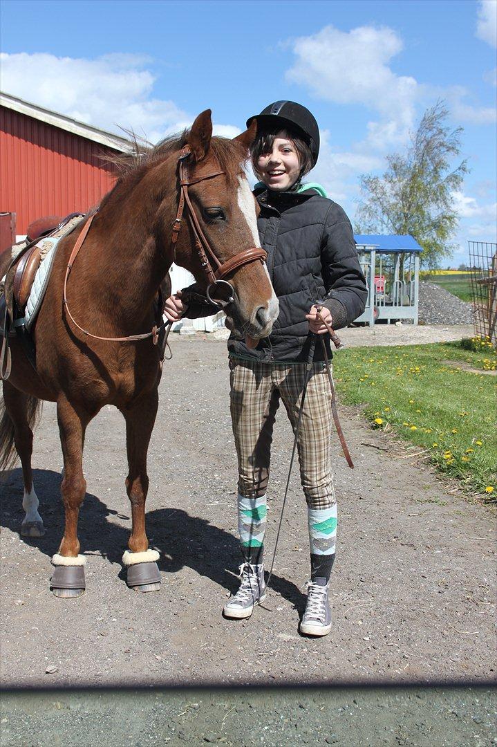 DSP drusbjergs Bonni *.Bonnimussen.* (Solgt) ;(<3 - Bøøh!;-D Bonni rækker tunge :-D♥♥
Foto: Mor billede 6