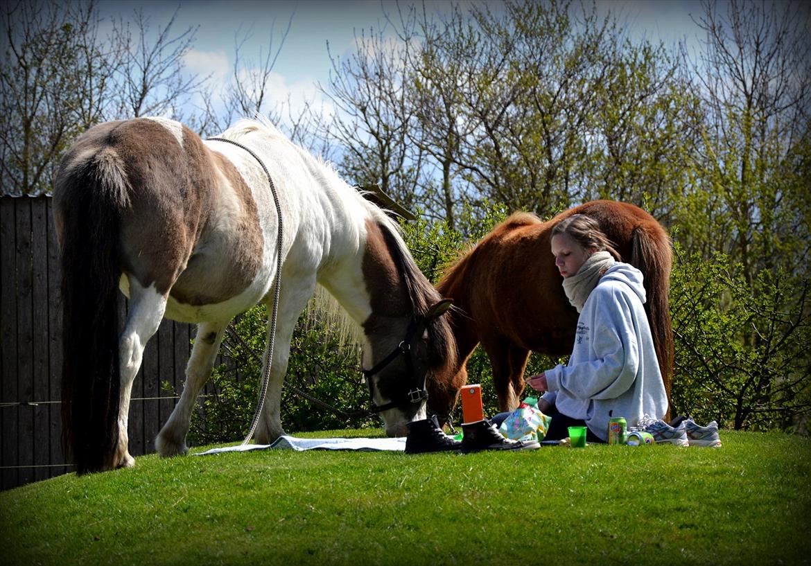 Islænder Hetta fra Toosholm - A true friend is someone you can trust with all your secrets. ♥ billede 5