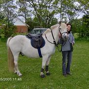 Anden særlig race snowball*solgt*