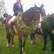 Oldenborg Noname (R.I.P)