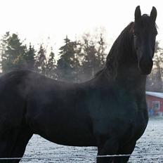 Frieser Loike