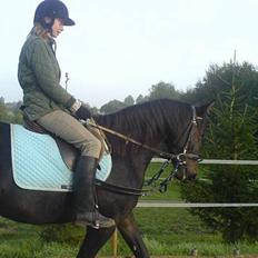 Anden særlig race Tamara  *SOLGT*