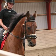 Oldenborg Flexie Vestergård