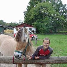 Fjordhest Clausen 