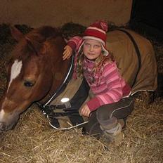 Anden særlig race Donna (SOLGT) ;(