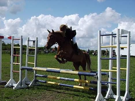 Anden særlig race komet  - Wauw springer højt over billede 7