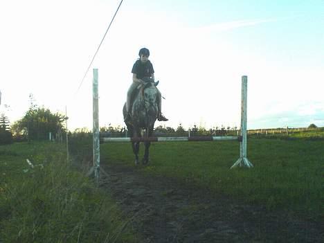 Anden særlig race Tulle - Mig og Tulle 65 cm billede 17