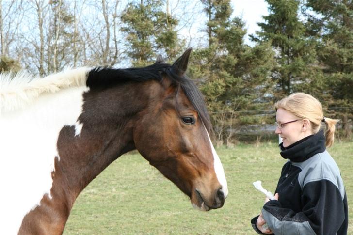 Pinto Syvagergård's Amigo - Foto: Henrik Andersen :) -Amigo og Kristine, 2007 billede 5