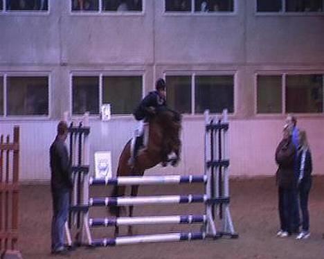 DSP Lanciano kærlund (solgt) - finalen i DPS championat han blev nr 2 :) alle hans karketer var mellem 8 og 9.. :) billede 6